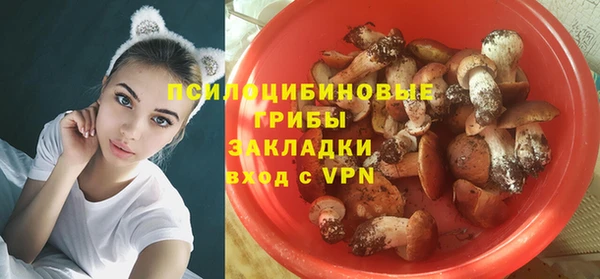 трава Богданович