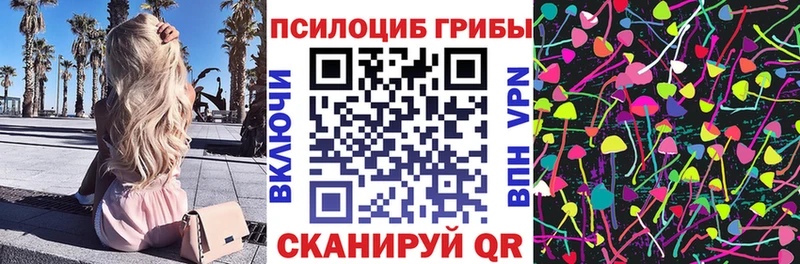 Псилоцибиновые грибы Cubensis  продажа наркотиков  Острогожск 